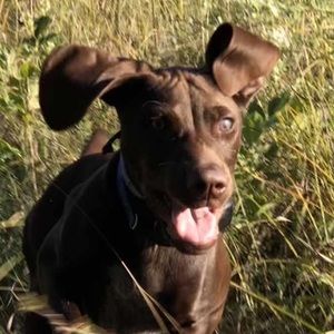 Meet your Posher, Faith